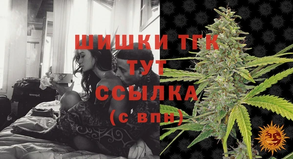 гидра Аркадак