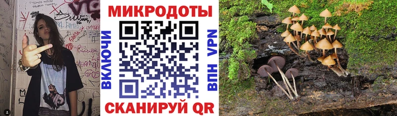 KRAKEN зеркало  Радужный  Галлюциногенные грибы GOLDEN TEACHER 