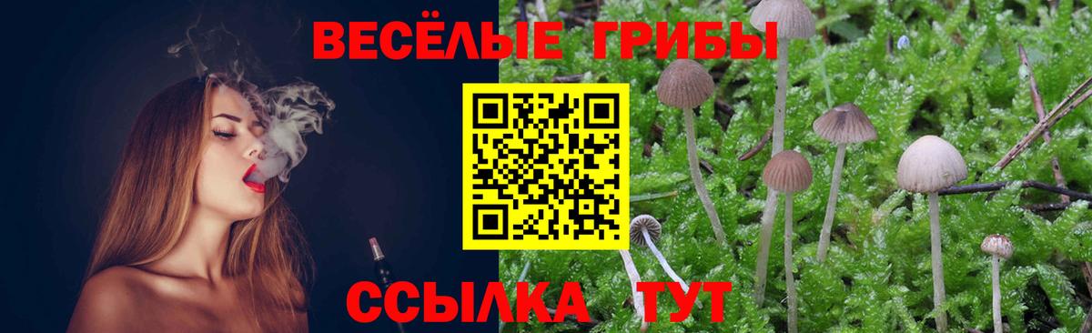 Галлюциногенные грибы Cubensis  Псилоцибиновые грибы Cubensis  Радужный  Вход с VPN 